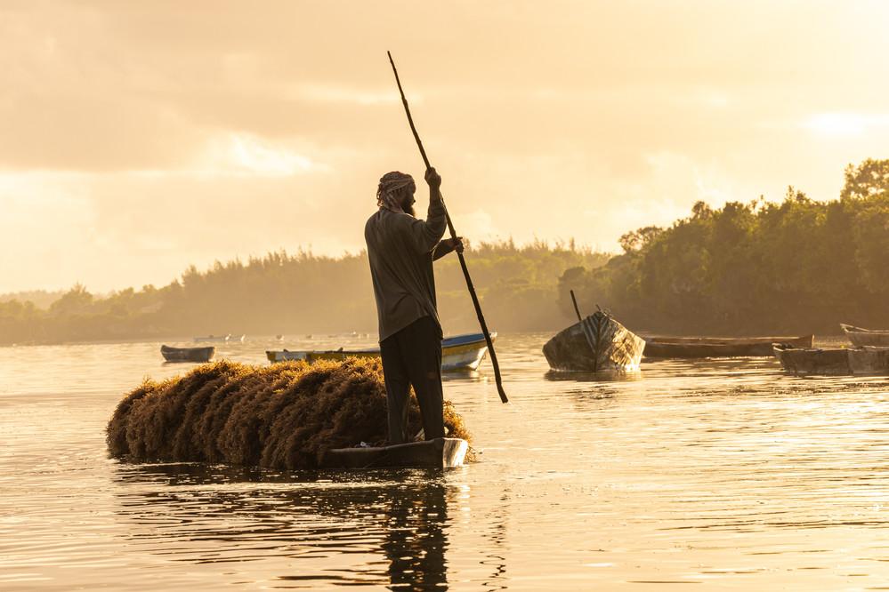 Pêche et Aquaculture